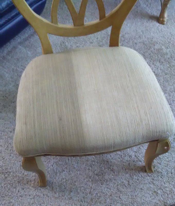 Meier Carpet & Upholstery Cleaning